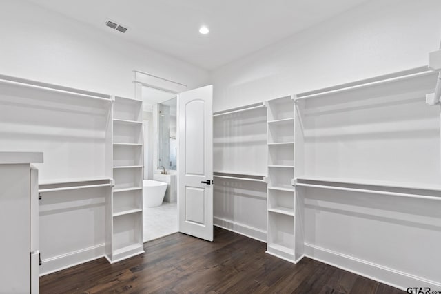 walk in closet featuring dark hardwood / wood-style flooring