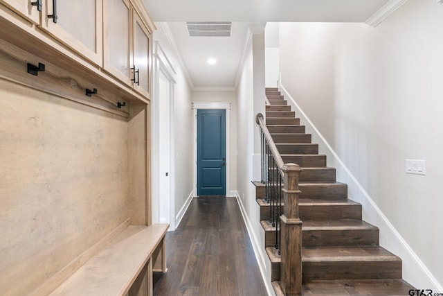 mudroom featuring ornamental molding and dark hardwood / wood-style floors