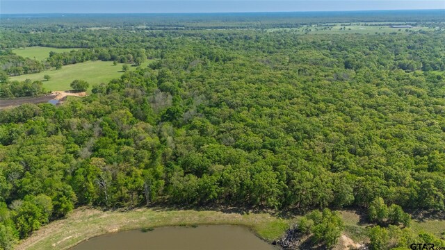 248ACRES N Fm 900, Sulphur Bluff, TX 75481 - photo 17
