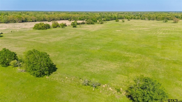 248ACRES N Fm 900, Sulphur Bluff, TX 75481 - photo 7