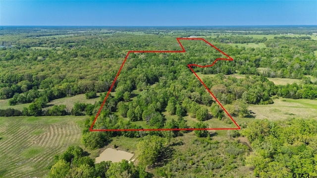 248ACRES N Fm 900, Sulphur Bluff, TX 75481 - photo 4