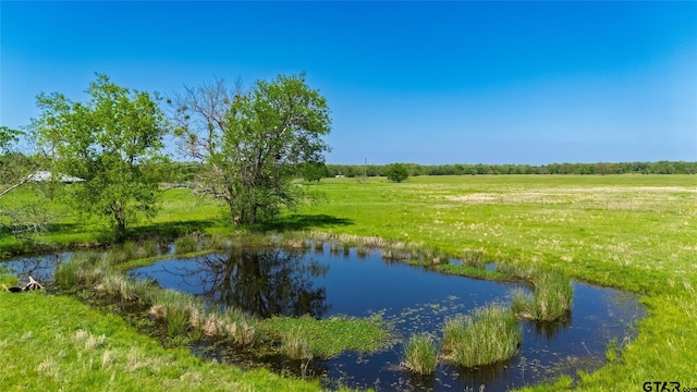 248ACRES N Fm 900, Sulphur Bluff, TX 75481 - photo 8