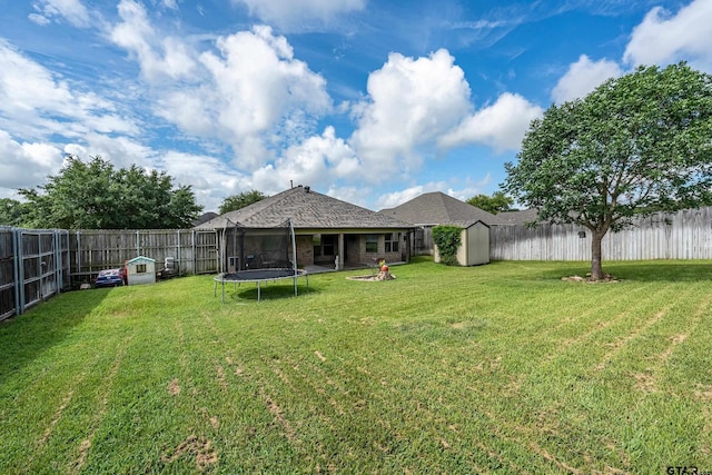 10820 Cactus Trl, Flint, TX 75762 - fenced backyard with a trampoline