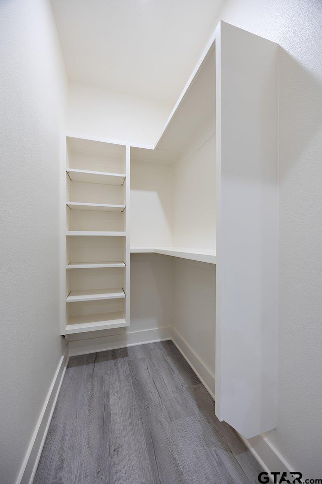 walk in closet featuring hardwood / wood-style floors