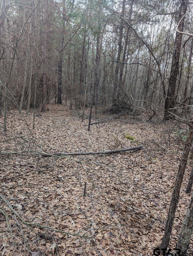 0 County Road 3460, Hawkins, TX 75765 - photo 2