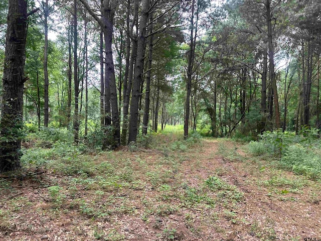 Listing photo 2 for TBD Fm 3042, Pittsburg TX 75686