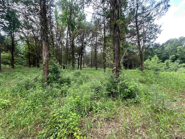 Listing photo 3 for TBD Fm 3042, Pittsburg TX 75686