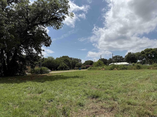 000 Lake Dr, Winona, TX 75792 - photo 5