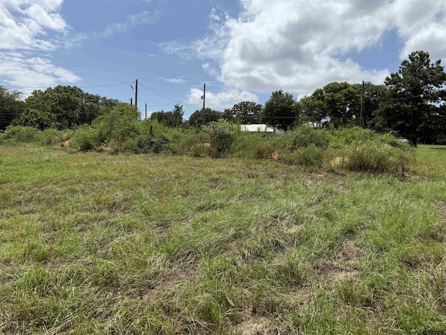 000 Lake Dr, Winona, TX 75792 - photo 6