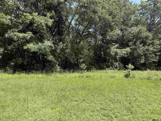 000 Lake Dr, Winona, TX 75792 - photo 2