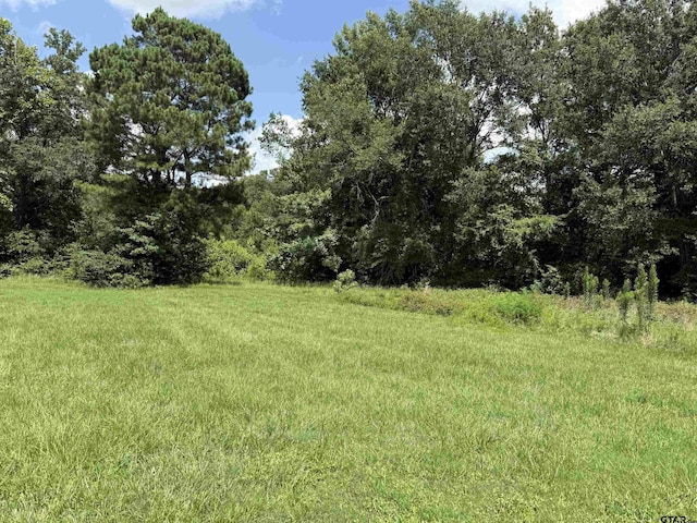000 Lake Dr, Winona, TX 75792 - photo 3