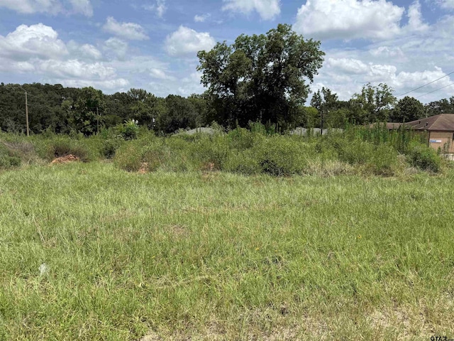 000 Lake Dr, Winona, TX 75792 - photo 8