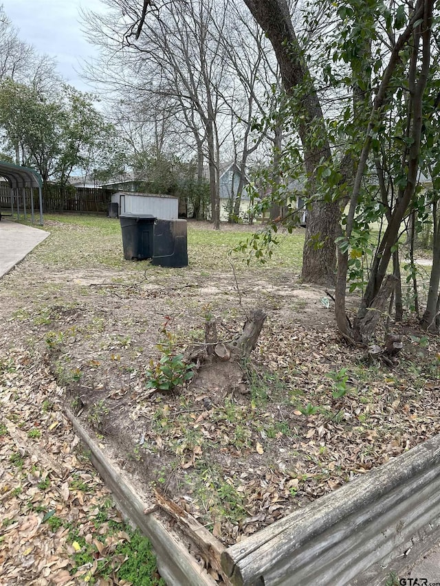 view of yard with a storage shed