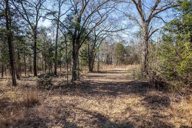 789 County Road 4575, Winnsboro TX, 75494 land for sale