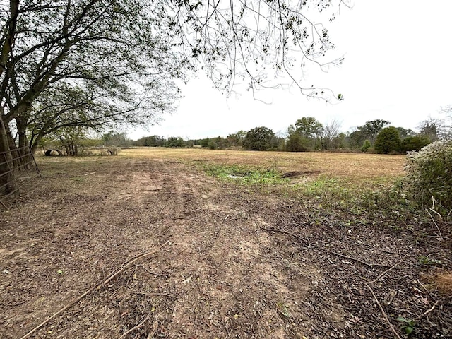 view of landscape featuring a rural view