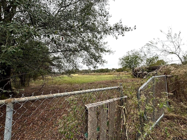 view of yard featuring a rural view