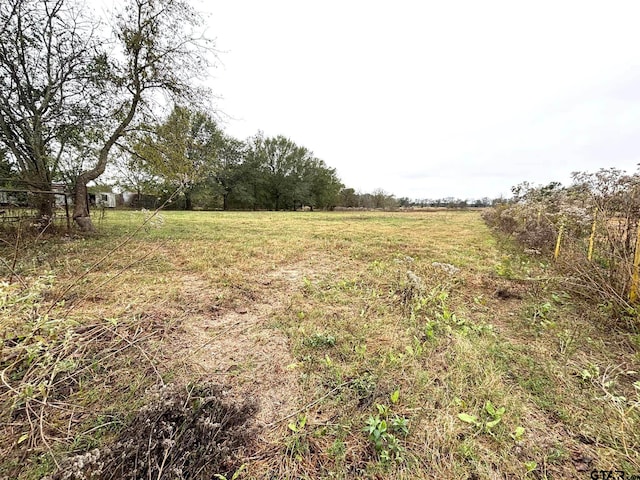 view of yard with a rural view