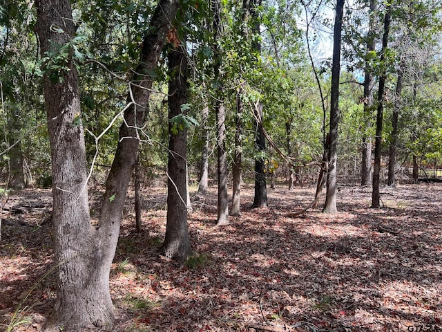 Listing photo 2 for TBD W King Chester Ct, Scroggins TX 75480