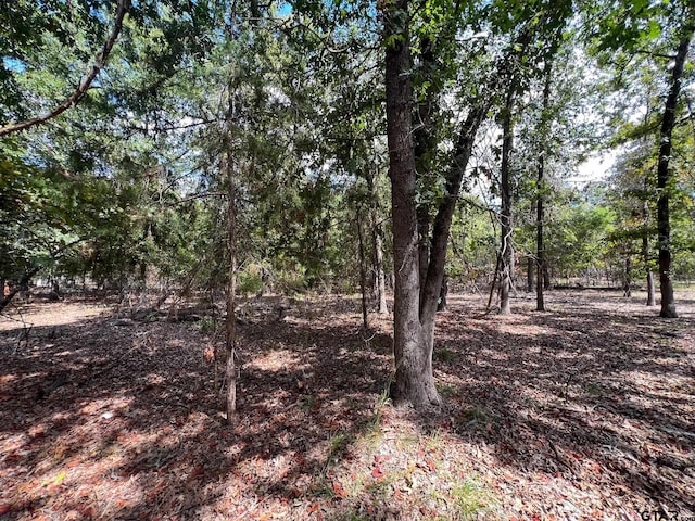 Listing photo 3 for TBD W King Chester Ct, Scroggins TX 75480