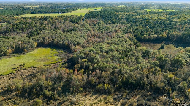 0000 County Road 3147, Tyler, TX 75706 - photo 9