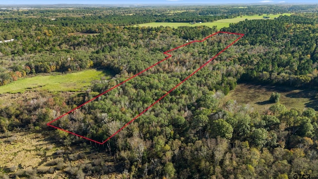 0000 County Road 3147, Tyler, TX 75706 - photo 4