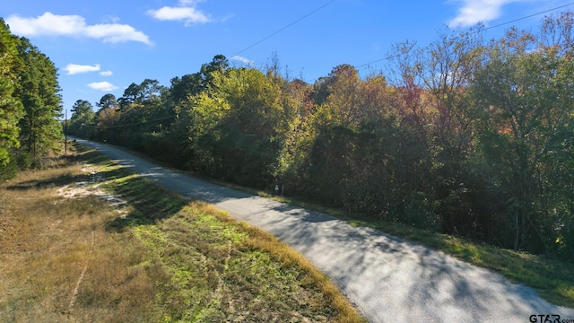 0000 County Road 3147, Tyler, TX 75706 - photo 2