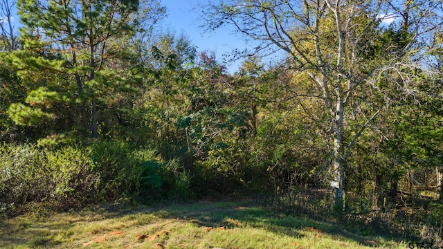 0000 County Road 3147, Tyler, TX 75706 - photo 3