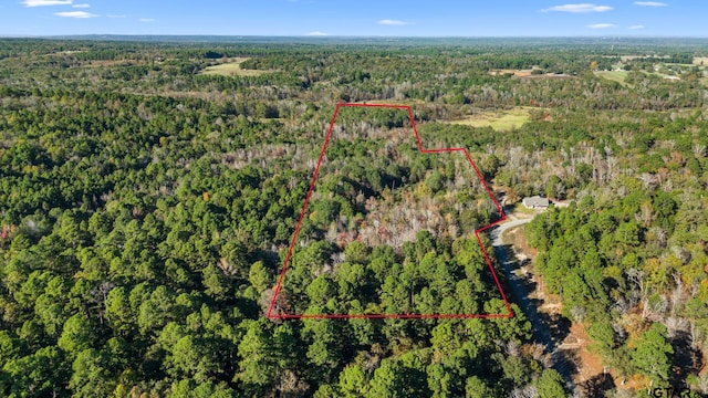 0000 County Road 3147, Tyler, TX 75706 - photo 1