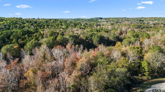 0000 County Road 3147, Tyler, TX 75706 - photo 11