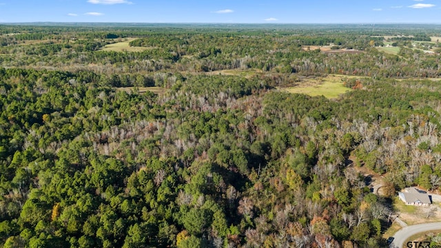 0000 County Road 3147, Tyler, TX 75706 - photo 7