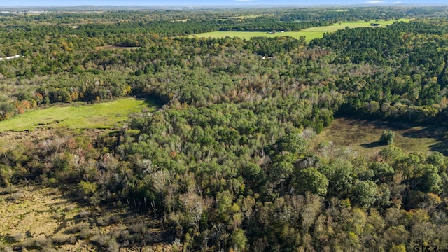 0000 County Road 3147, Tyler, TX 75706 - photo 8