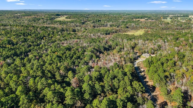 0000 County Road 3147, Tyler, TX 75706 - photo 5