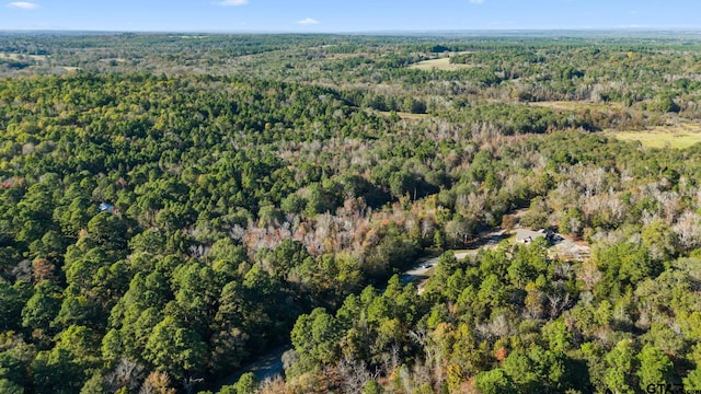 0000 County Road 3147, Tyler, TX 75706 - photo 12