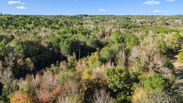 0000 County Road 3147, Tyler, TX 75706 - photo 10