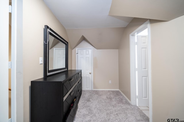 bonus room with light colored carpet