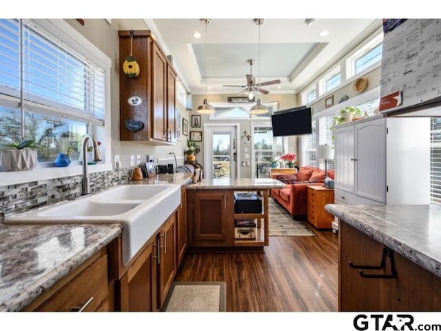 kitchen featuring dark wood-type flooring, light stone countertops, a raised ceiling, ceiling fan, and sink