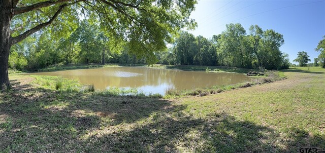 1801 Robbins Rd, Athens, TX 75751 - photo 7