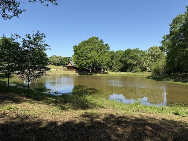 1801 Robbins Rd, Athens, TX 75751 - photo 9
