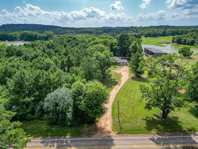 2585 N Fm 250, Hughes Springs, TX 75656 - photo 30
