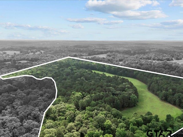 000 An County Road 100, Elkhart, TX 75839 - photo 1
