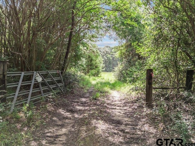 000 An County Road 100, Elkhart, TX 75839 - photo 2