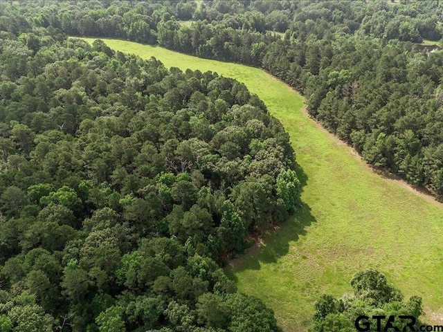 000 An County Road 100, Elkhart, TX 75839 - photo 10
