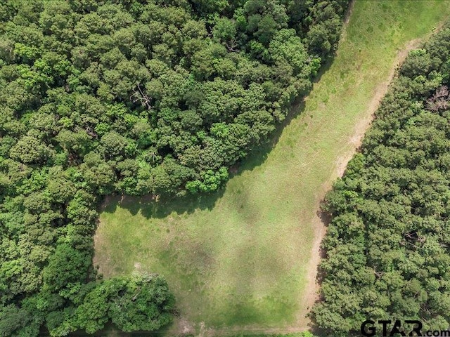 000 An County Road 100, Elkhart, TX 75839 - photo 11