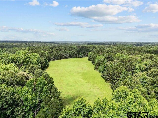 000 An County Road 100, Elkhart, TX 75839 - photo 6