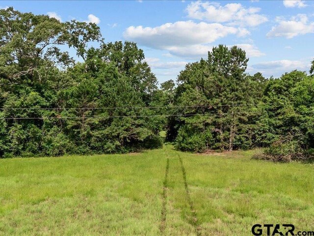 000 An County Road 100, Elkhart, TX 75839 - photo 5