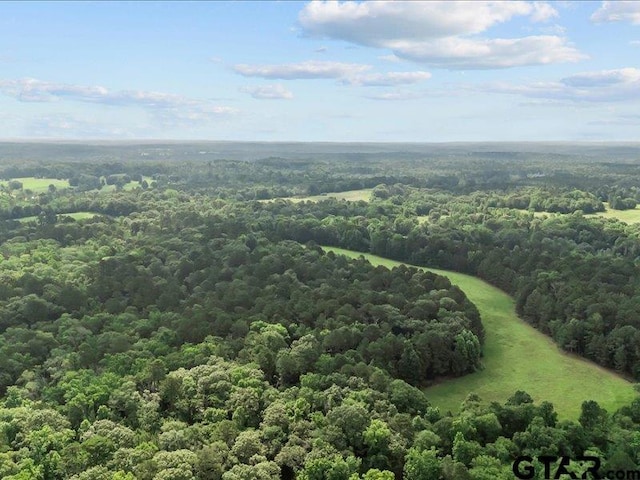 000 An County Road 100, Elkhart, TX 75839 - photo 12