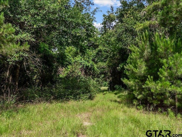 000 An County Road 100, Elkhart, TX 75839 - photo 3