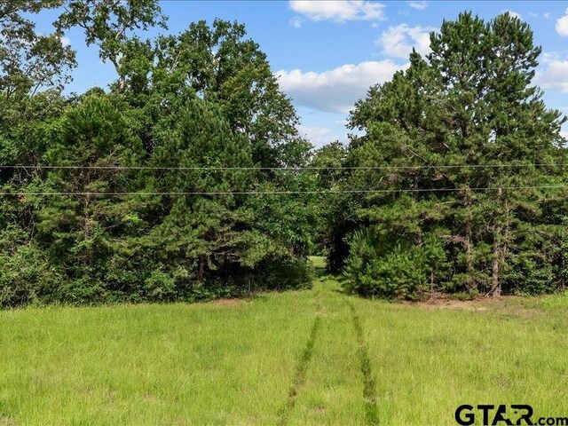 000 An County Road 100, Elkhart, TX 75839 - photo 4