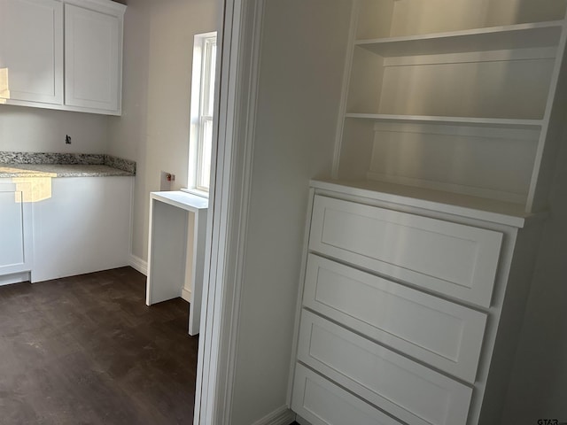 interior space with dark hardwood / wood-style floors