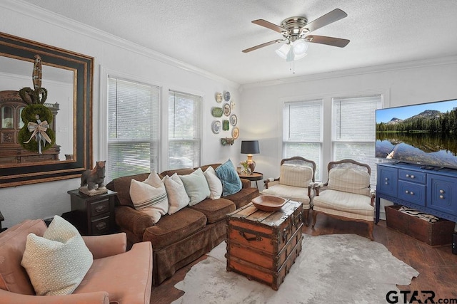 818 Rusk St, Tyler, TX 75701 - living area featuring wood finished floors, crown molding, ceiling fan, healthy amount of natural light, and a textured ceiling